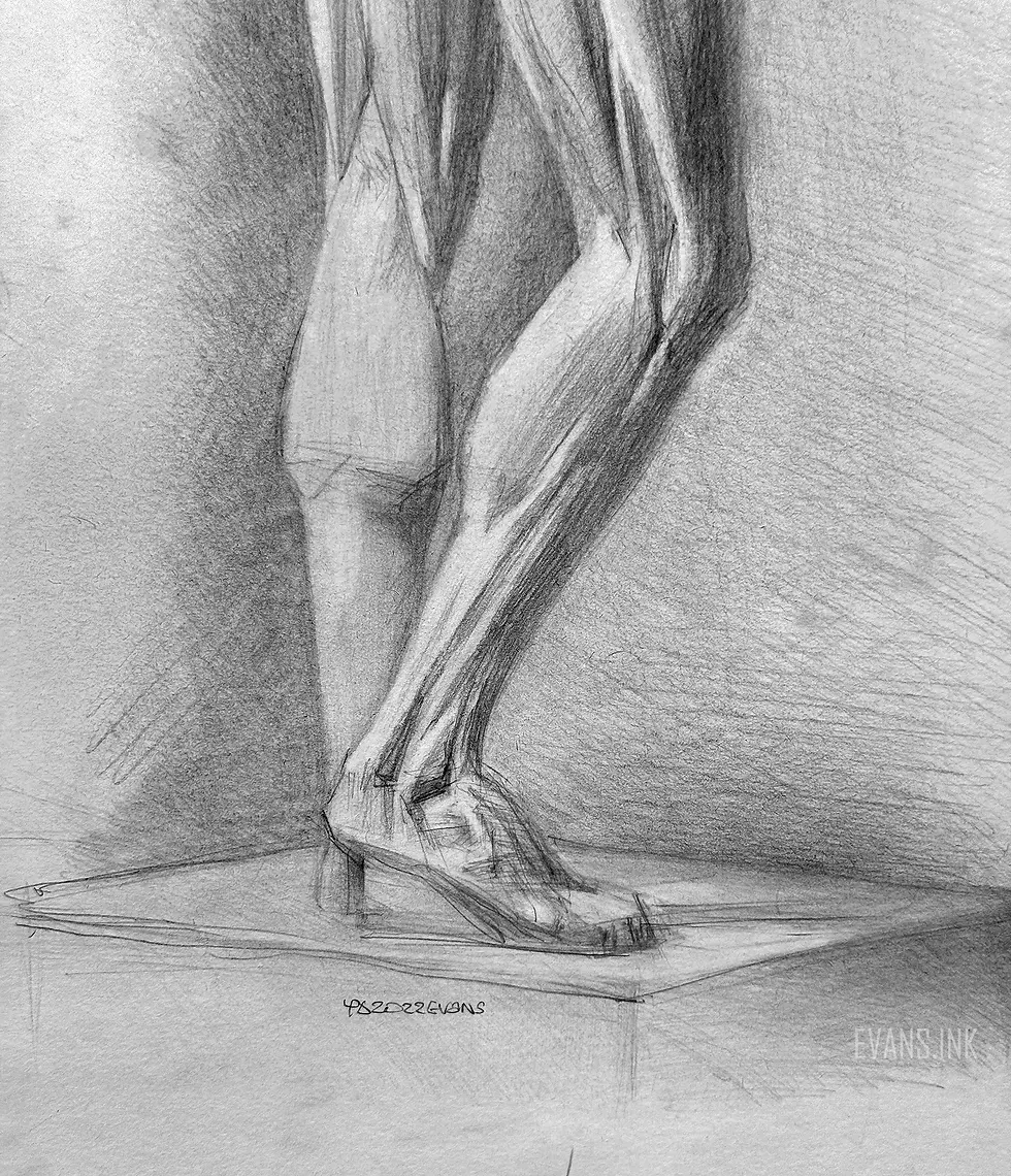 Thumbnail: Pencil drawing of human anatomy back view showing skeleton and muscles on white paper by Yana Evans