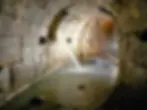 Cloaca Maxima
