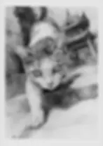 Graphite drawing of a cat stepping forward on temple stairs with a traditional Chinese pagoda in the background by Yana Evans