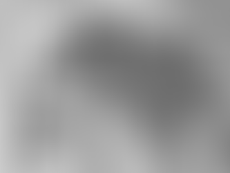 The Acanthus Leaf: A Timeless Motif in Italian Architecture Details