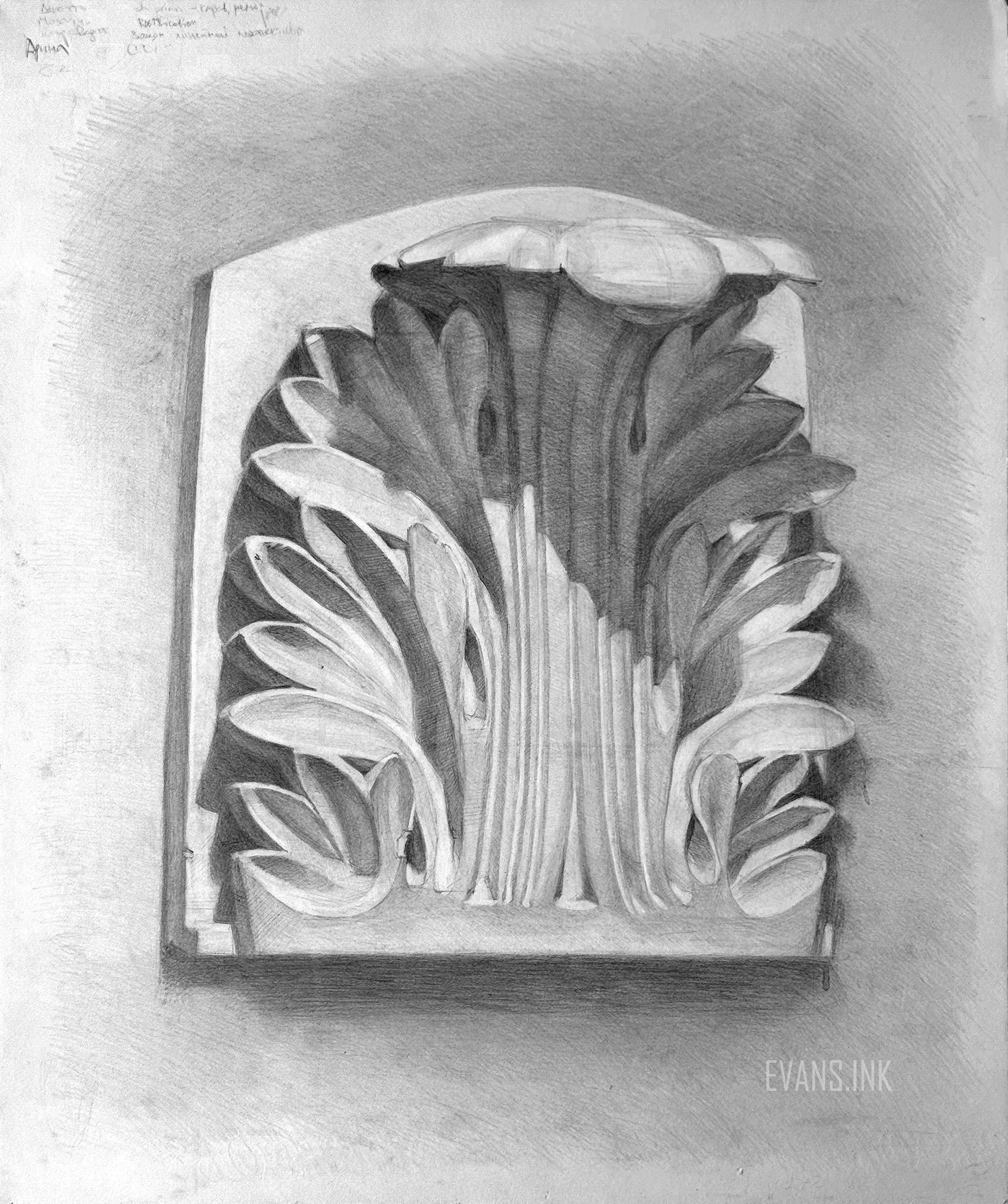Graphite drawing of an acanthus leaf cast using the Russian Drawing Method by artist Yana Evans on white paper