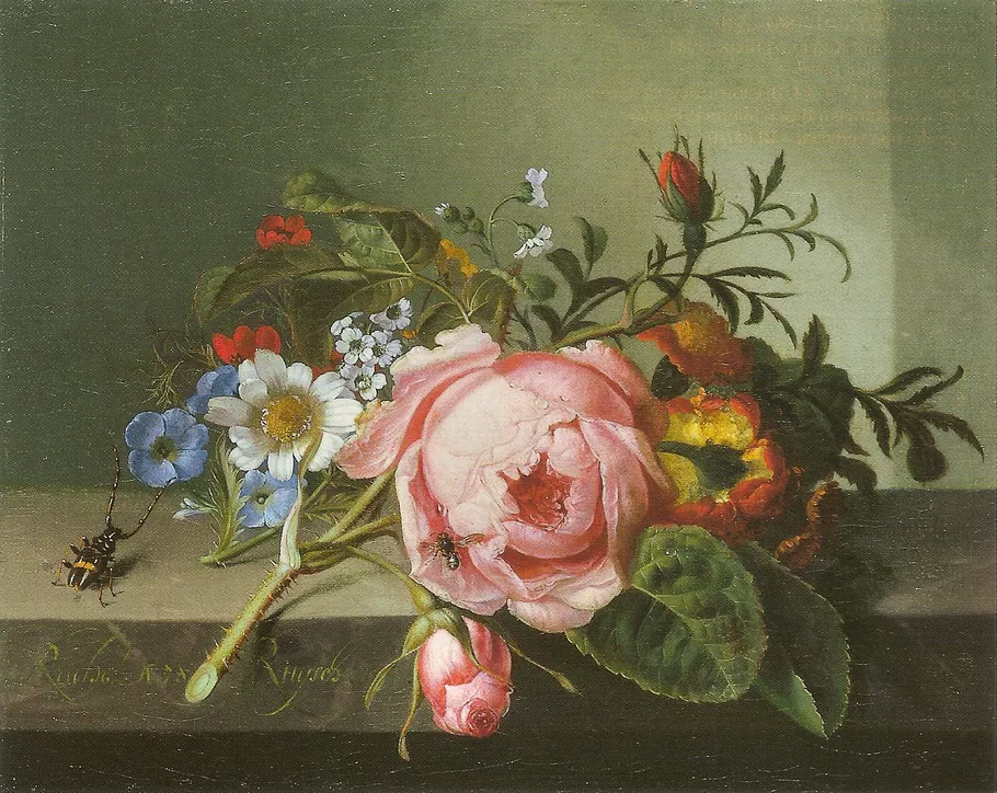 Still life painting by Rachel Ruysch (1741) featuring a rose, camomile flowers, and insects on a stone ledge — blending natural beauty with botanical symbolism.