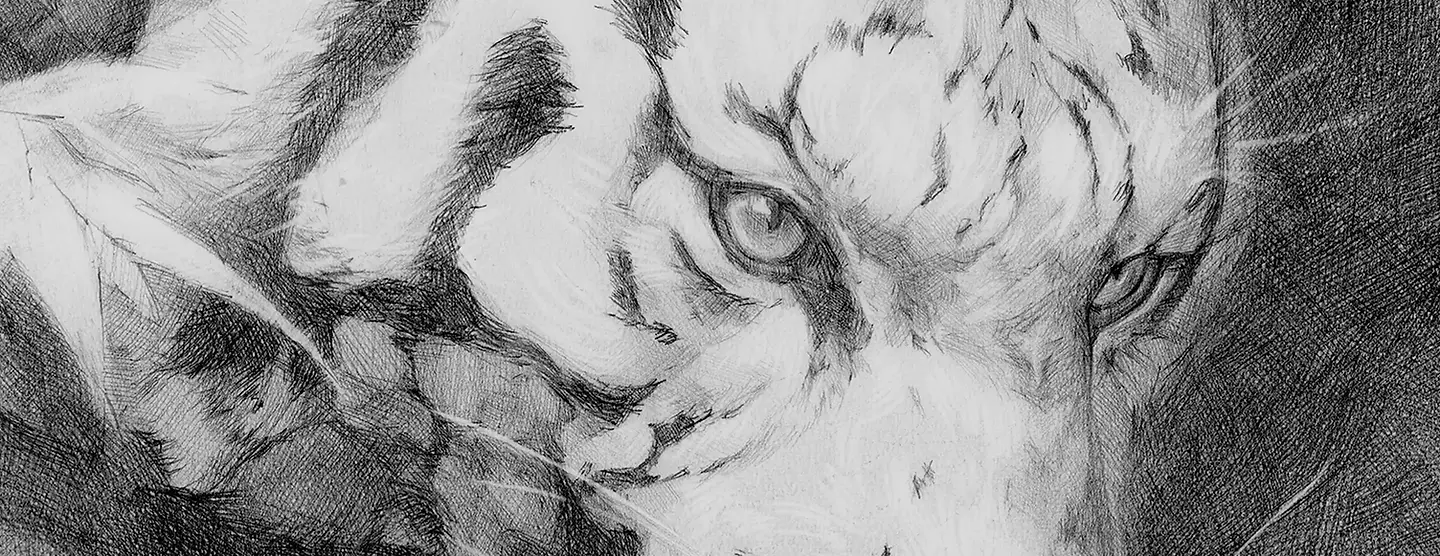 2800x1000 ratio Tiger.webp