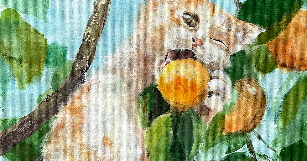 Cats of Turkey: Symbols of Mystery, Protection, and Freedom