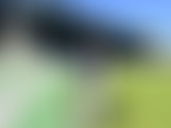 Founder of Bubble Tea Festival, Eric Yang walking in Swangard Stadium