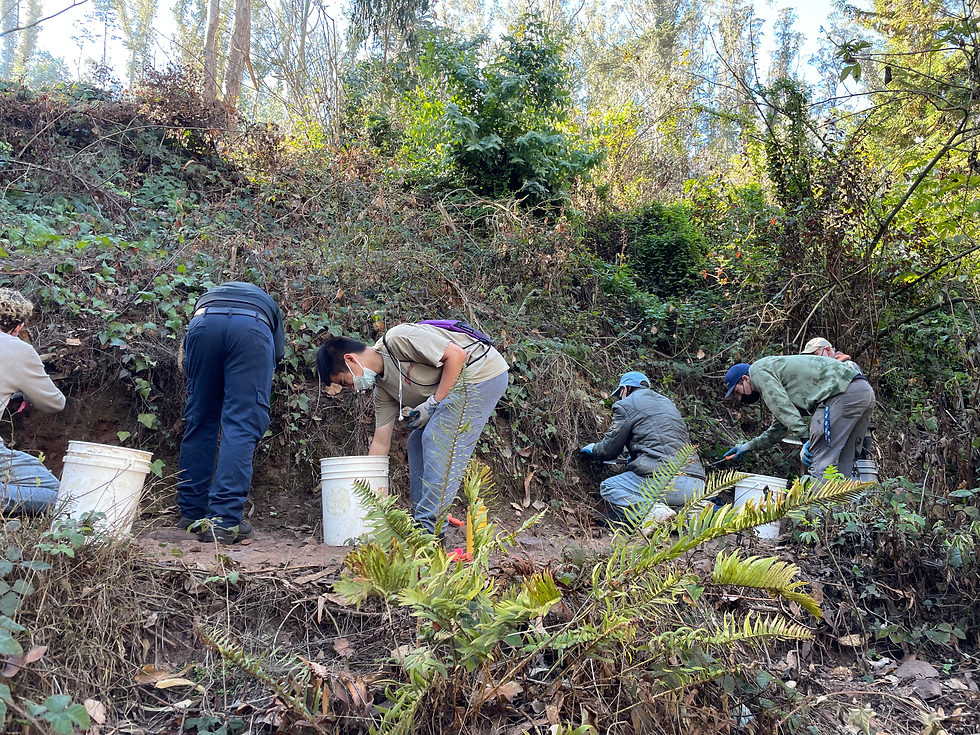 Conservation Volunteer!