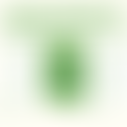 Decoding the Economics of Climate Change Mitigation in Developing Nations