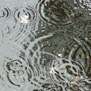 Theories about why we like to listen to sad music