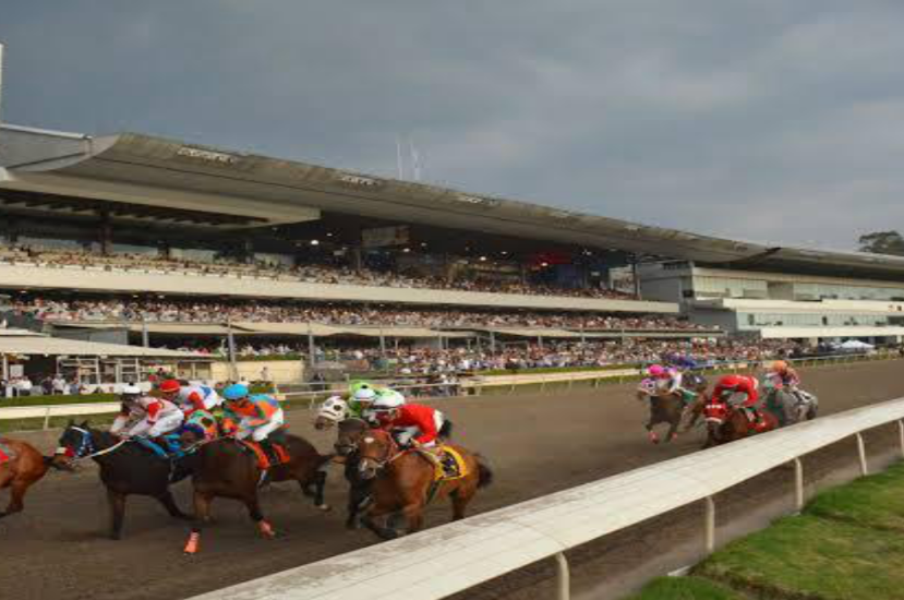 Hipódromo de Las América Mexico Ciudad de México 1999