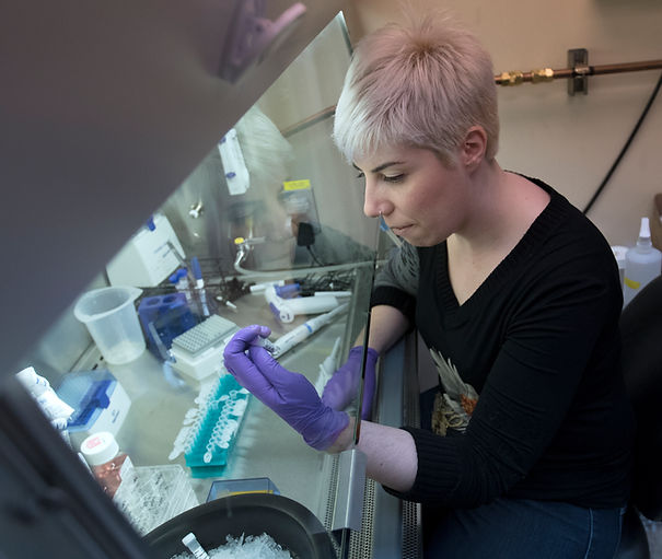 2016_0629_microrna_kwg007.jpg