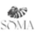 SOMA_edited_edited.png
