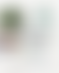 Fundação Pitágoras realiza evento do Movimento Mutirão das Árvores em Minas Gerais