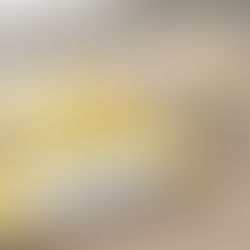 Baixe Gratuitamente o Planner 2026 para Educadores!