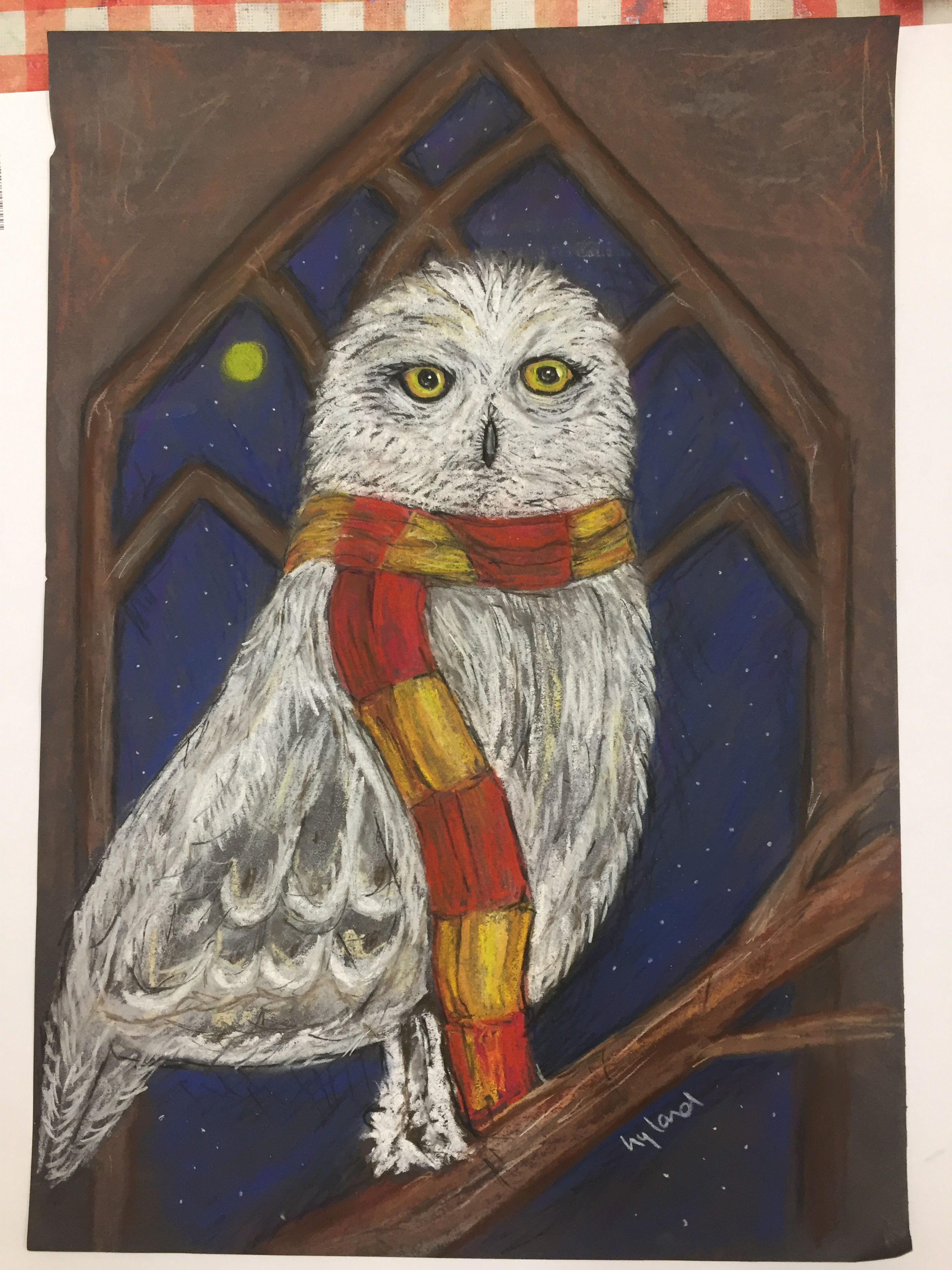 Harry Potter 'Hedwig' (Pastel)