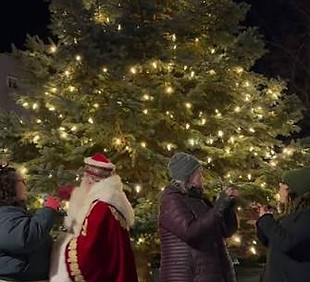 Tree Lighting.jpg