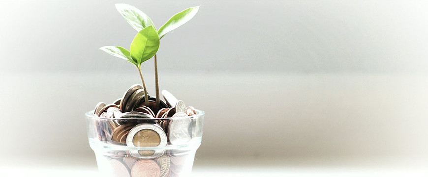 green plant in clear glass cup_edited_ed