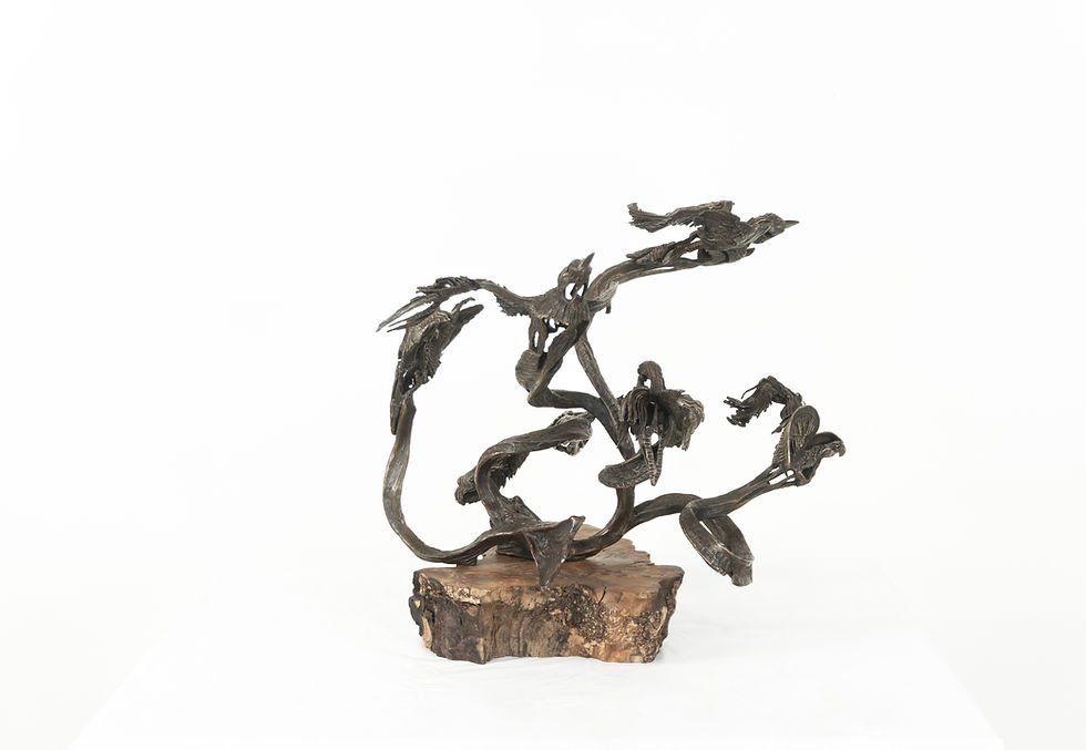 S_BirdsInFlight_Chana_Pose#6+_2024-9-30.jpg