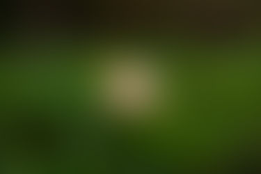 How to keep a cool mind ?