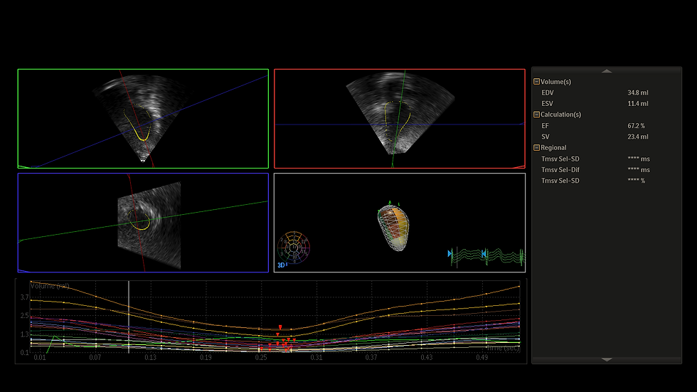 Image-12_(4).bmp