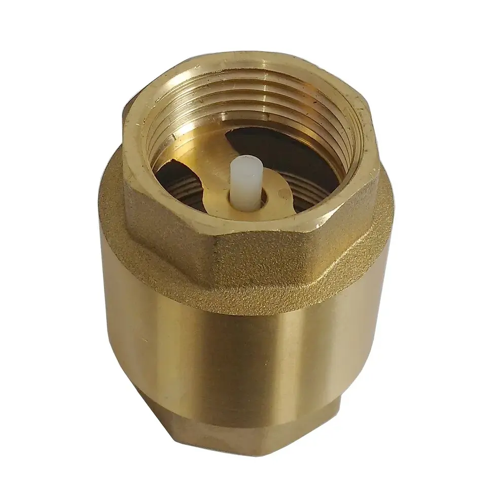 Miniatura: Valvula Retenção Vertical 1" -und