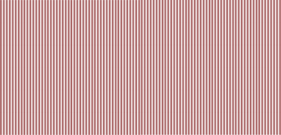 2025 WEBSITE OUTLINE-2.png