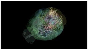 All about learning Neuroscience 