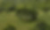 Territorio del palmar.jpeg