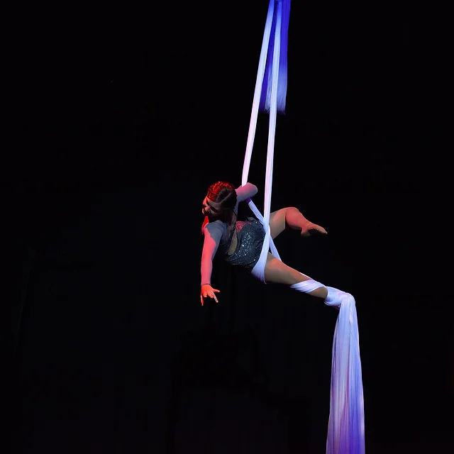 Coaches Performers Dragonfly Aerial