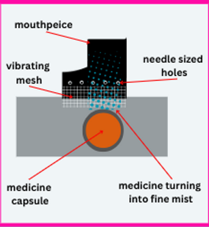 Screenshot 2025-04-08 11.29.33 AM.png