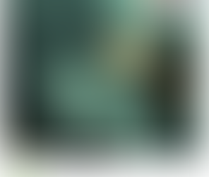 You Don't Need a Perfect Sentence. You Need Momentum. 