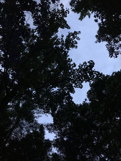 IMG_0285.jpeg