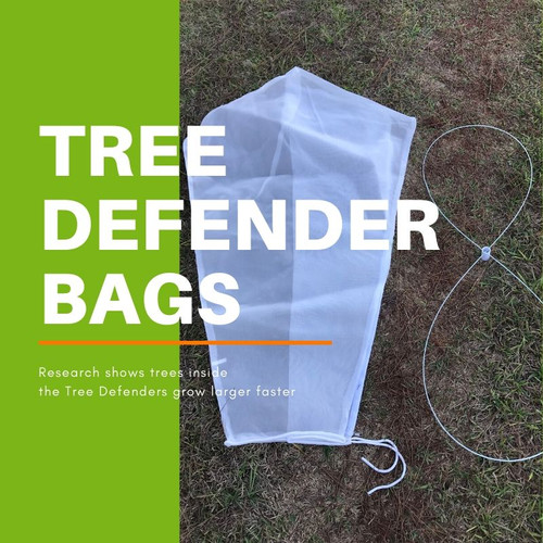 Tree defender Bag Grown Citrus