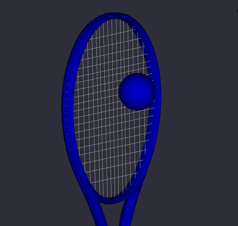 MP4 Raquette.gif