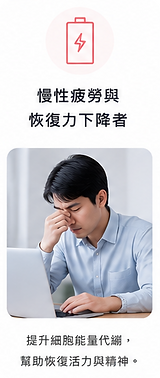 OLIB-10.png