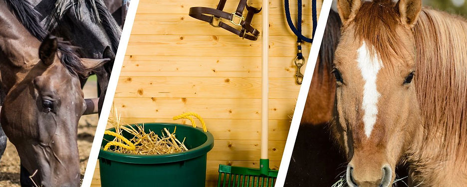 Untitled design (1).jpg