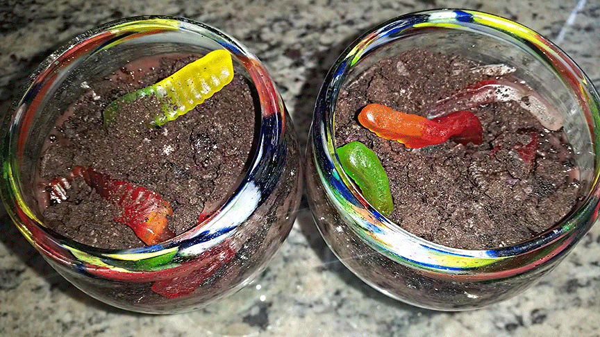 Gummy Worm Dirt Cups