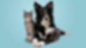 _methode_times_prod_web_bin_10ee66a8-f91f-11eb-8f01-2c678acbb979.jpg