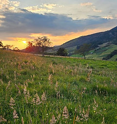 WhatsApp Image 2026-02-27 at 1.11_edited.jpg