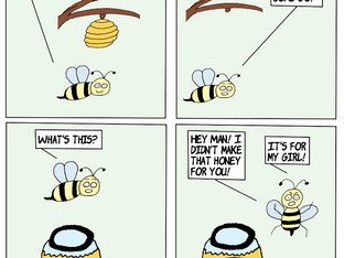 Honey