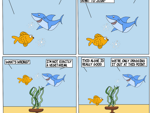 Algae