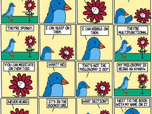 Special Philosophy