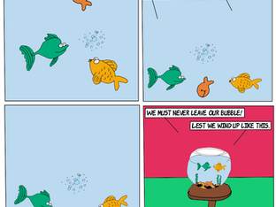 Cheddar Gold Fish