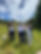 IMG-20231001-WA0039.jpg