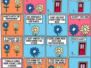 Photosynthesis