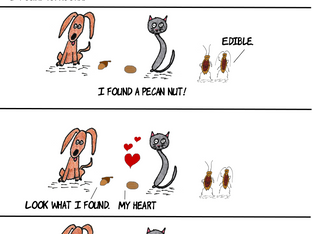 Acorn and Pecan Love