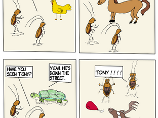 Where's Tony?