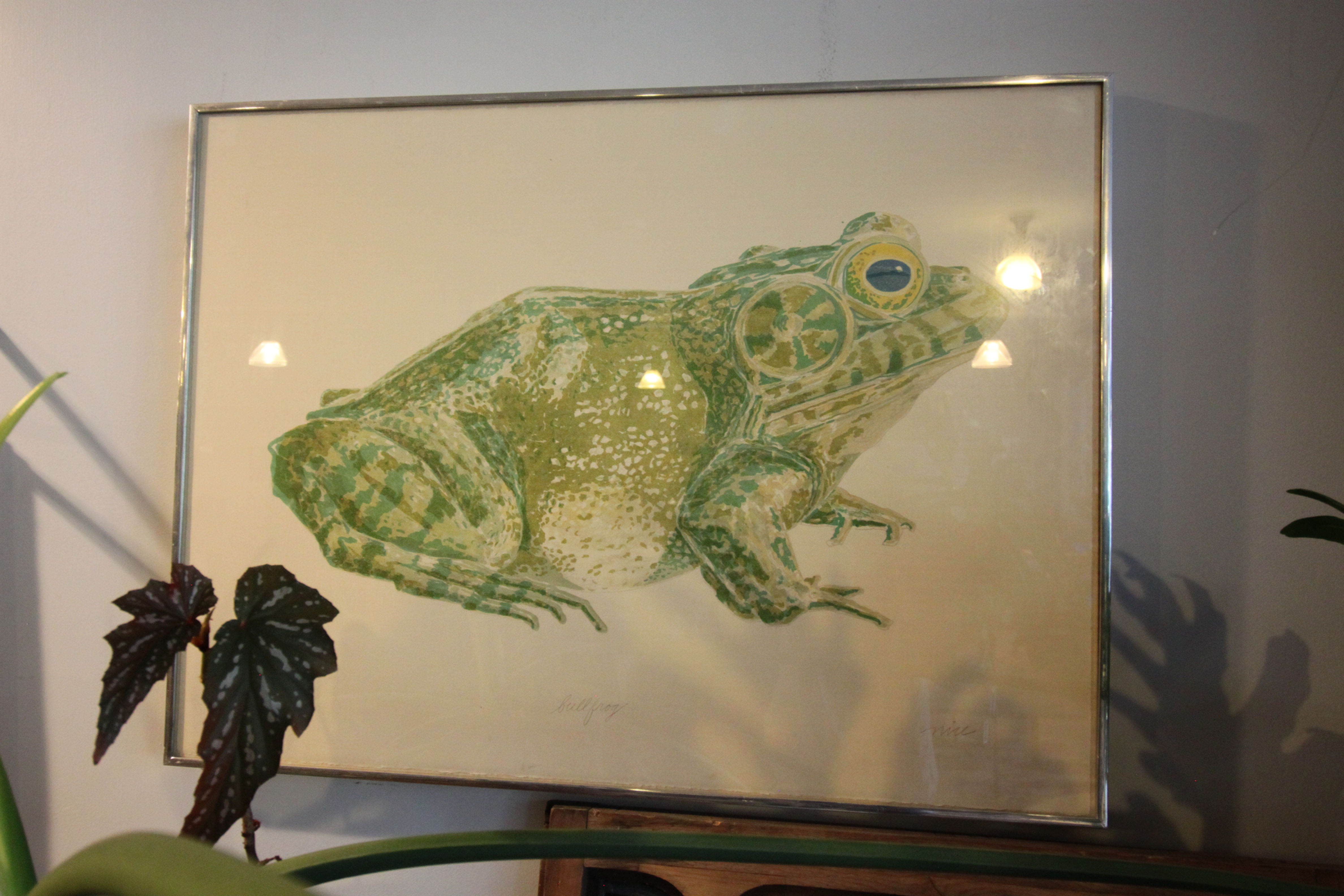 SOLD - Color Lithograph of Bullfrog