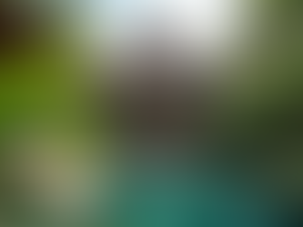 How to Live in Bali: Maximizing Your Life in Bali