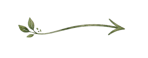 curved green arrow with small leaves on the tail