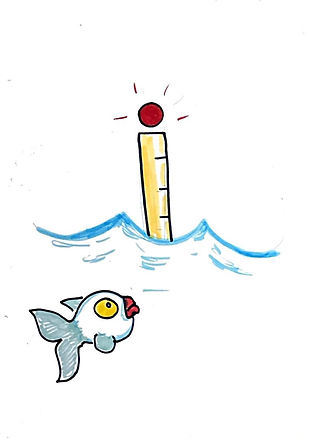 2025-11-10 12-59-1_1.jpg